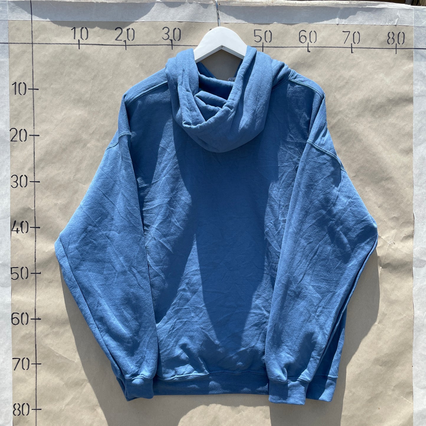 Blå Washington D.C. Vintage Hoodie Med USA Print