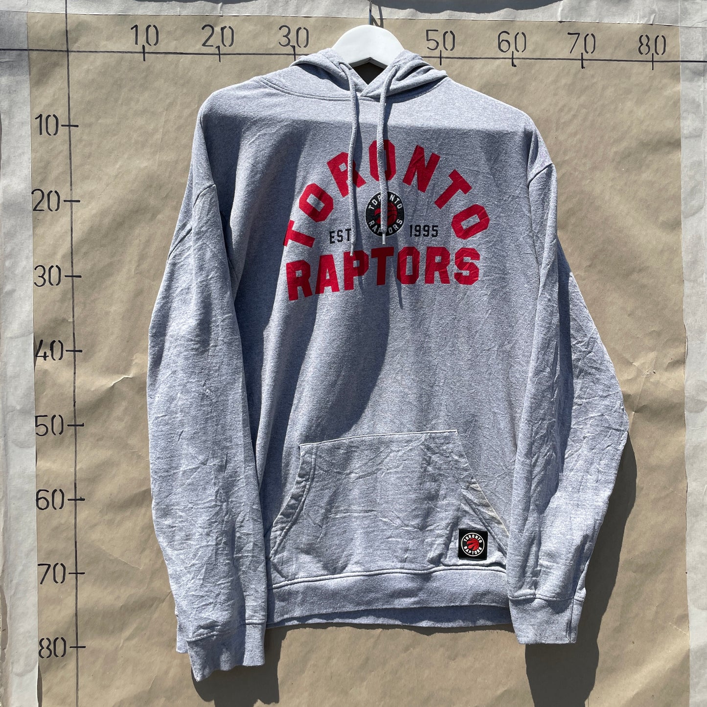 Grå Toronto Raptors NBA Hoodie
