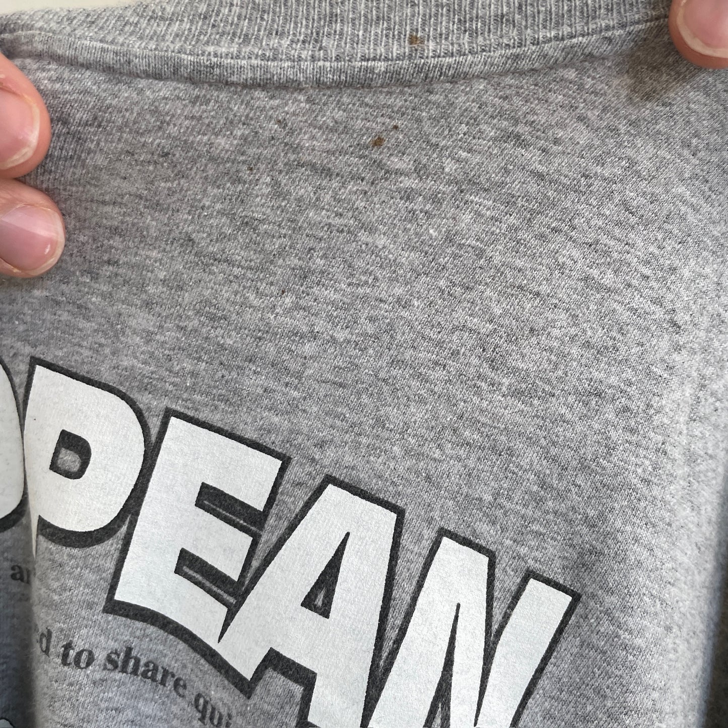 Grå Vintage "Joke/Tegneserie" T-Shirt