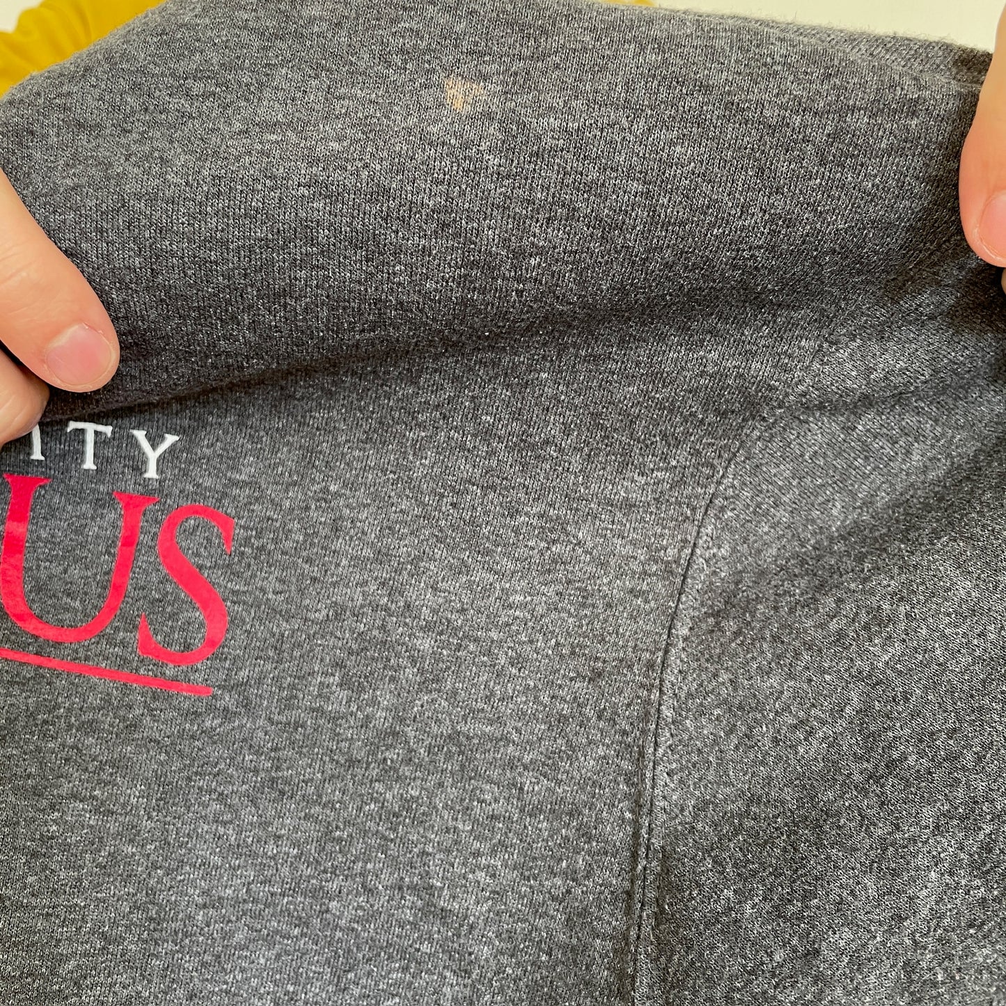 Grå "Stanislaus Mom" Champion Sweatshirt