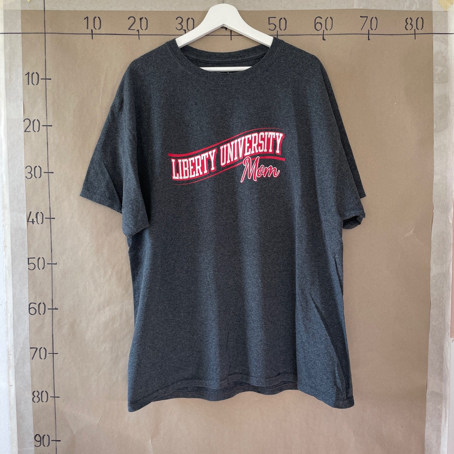 Grå & Rød Vintage "University" T-Shirt