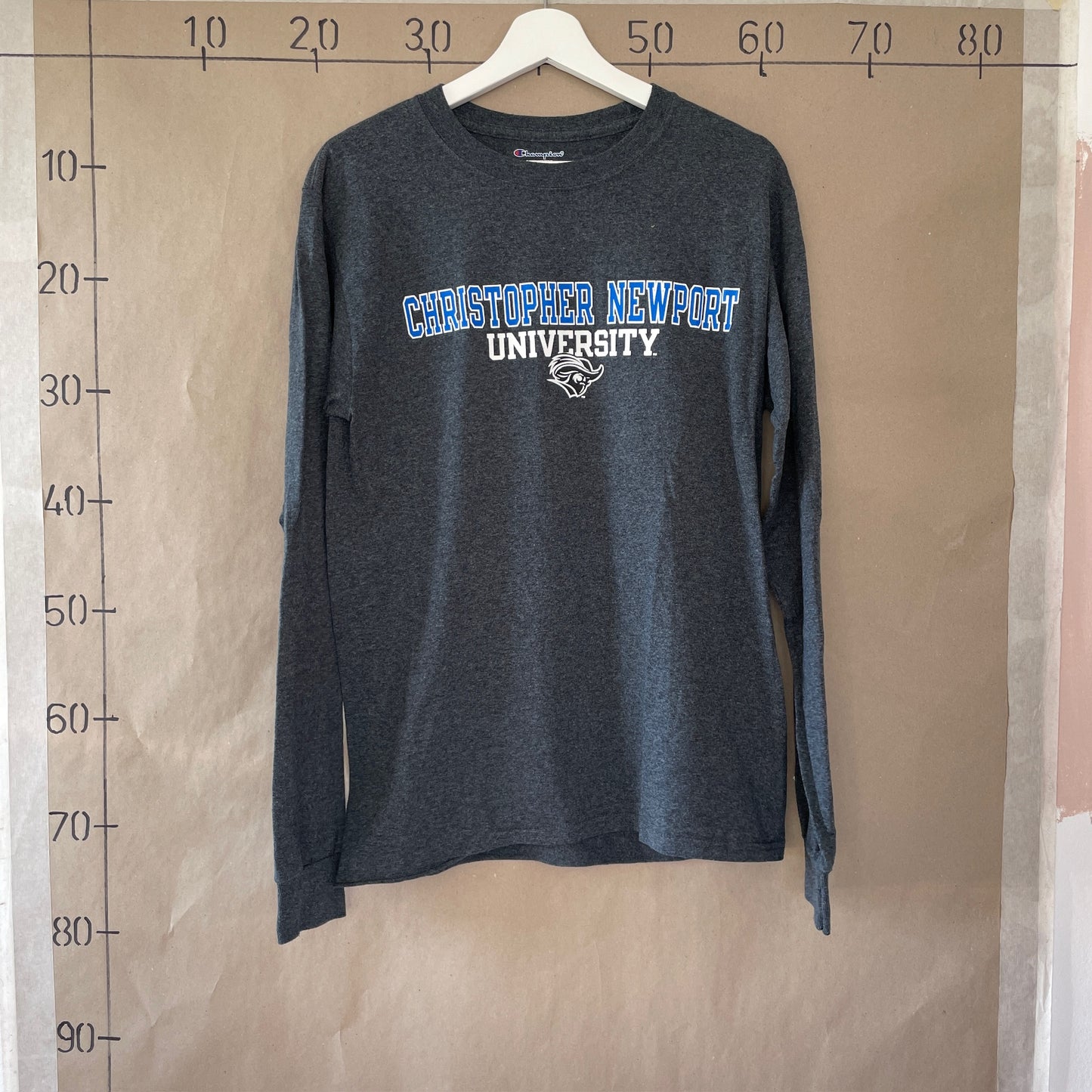 Grå Langærmet Champion T-Shirt