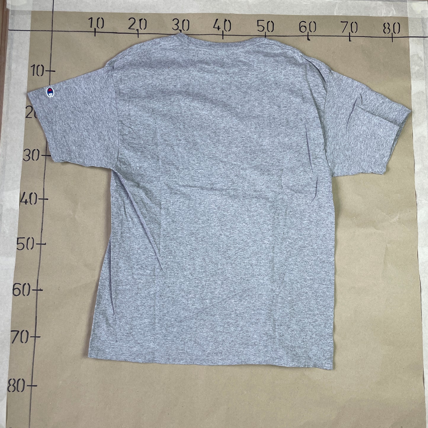 Grå Vintage Champion Rice T-Shirt