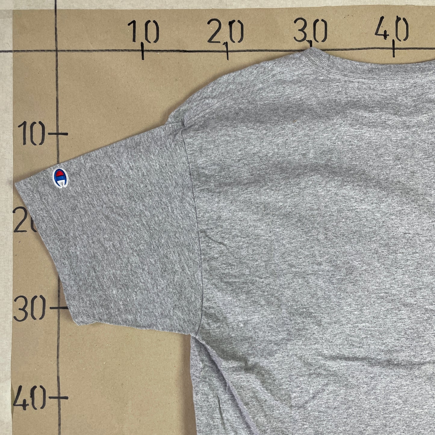 Grå Vintage Champion Rice T-Shirt