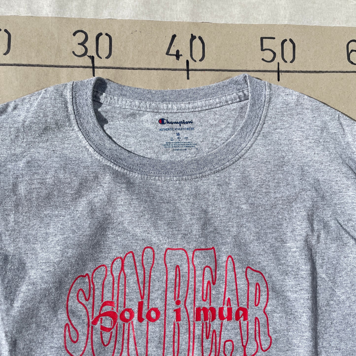 Grå Vintage Sun Bear T-Shirt