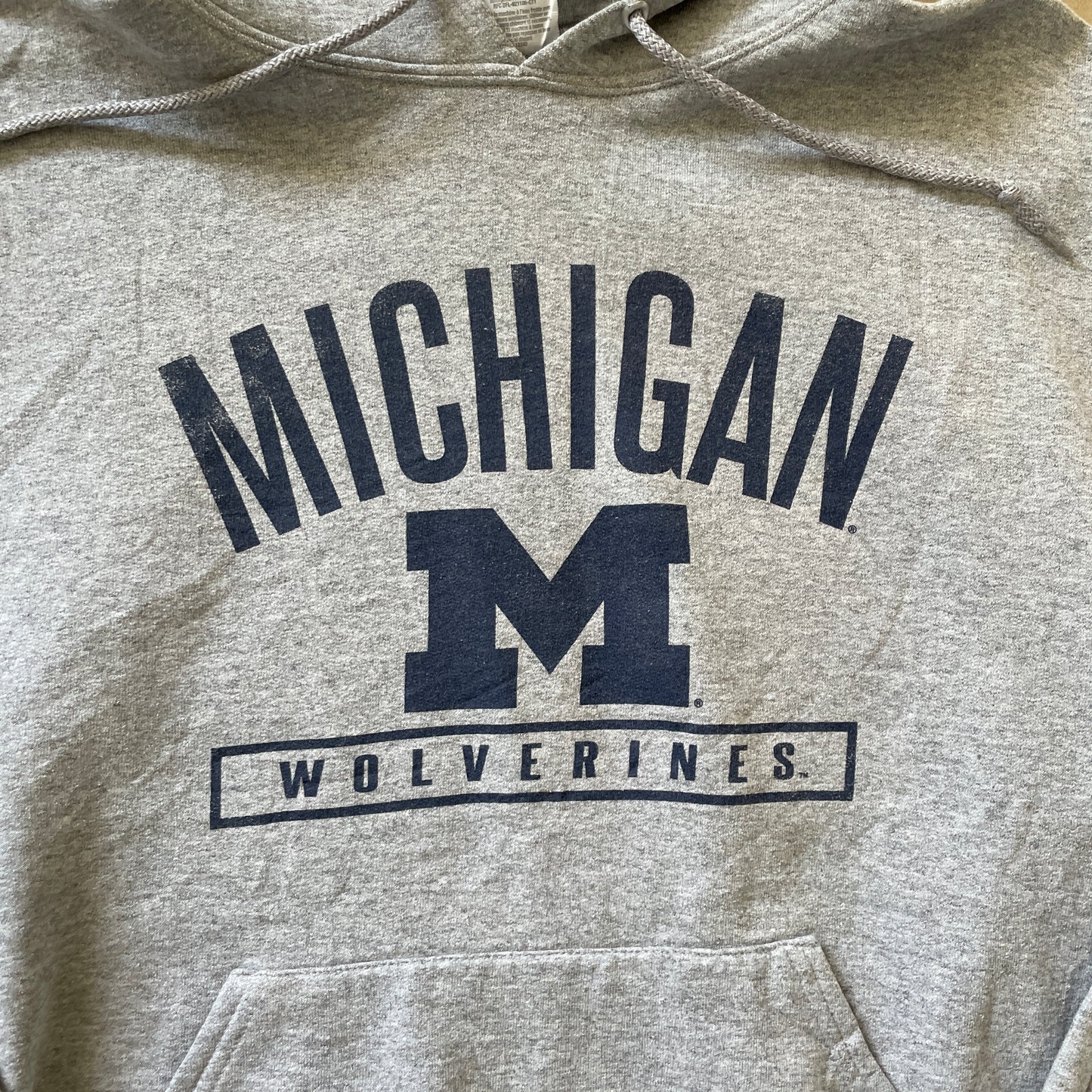 Grå Michigan Wolverines Hoodie