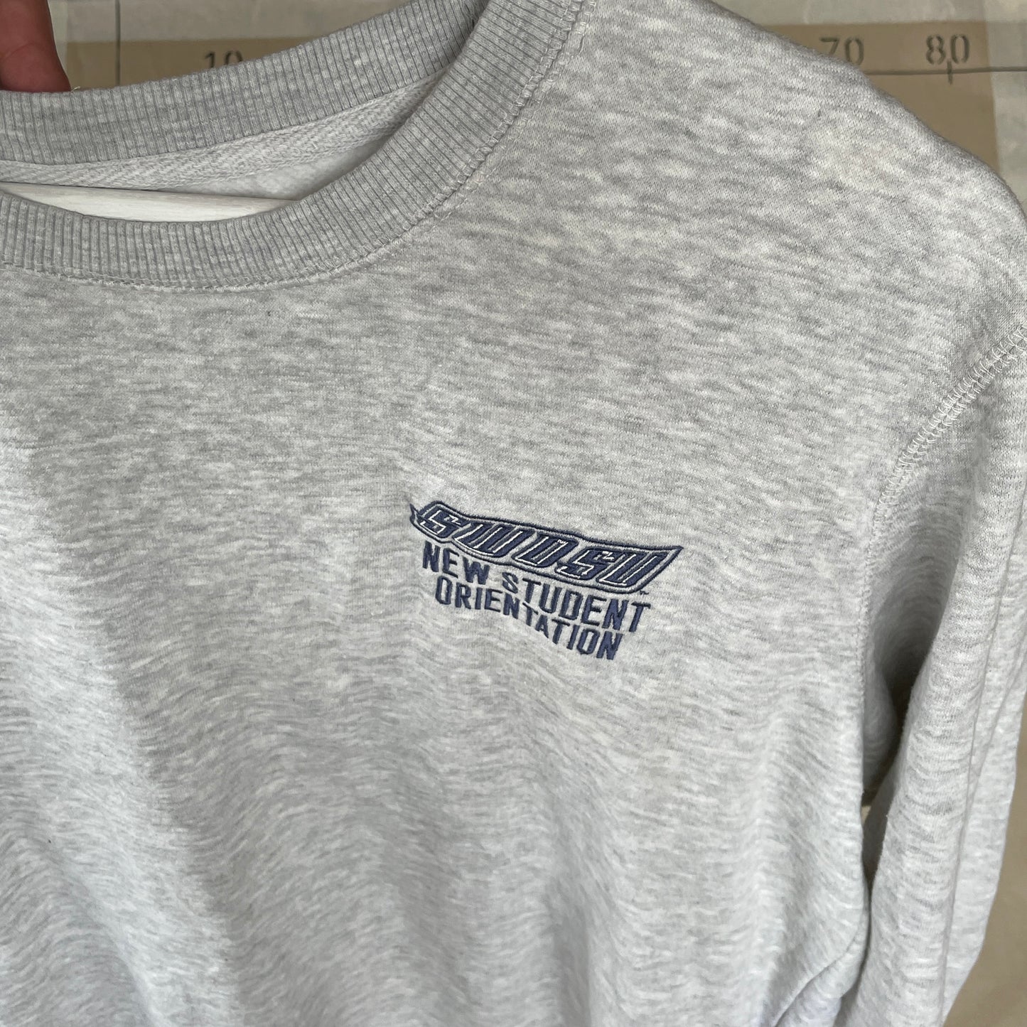 Grå Vintage New Student Orientation Sweatshirt Fra Gildan