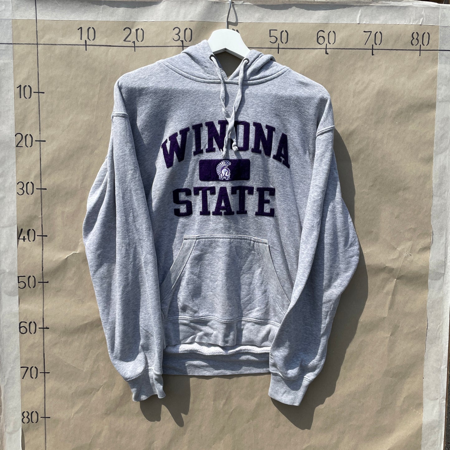 Grå Winona State College Hoodie Med Flocked Print