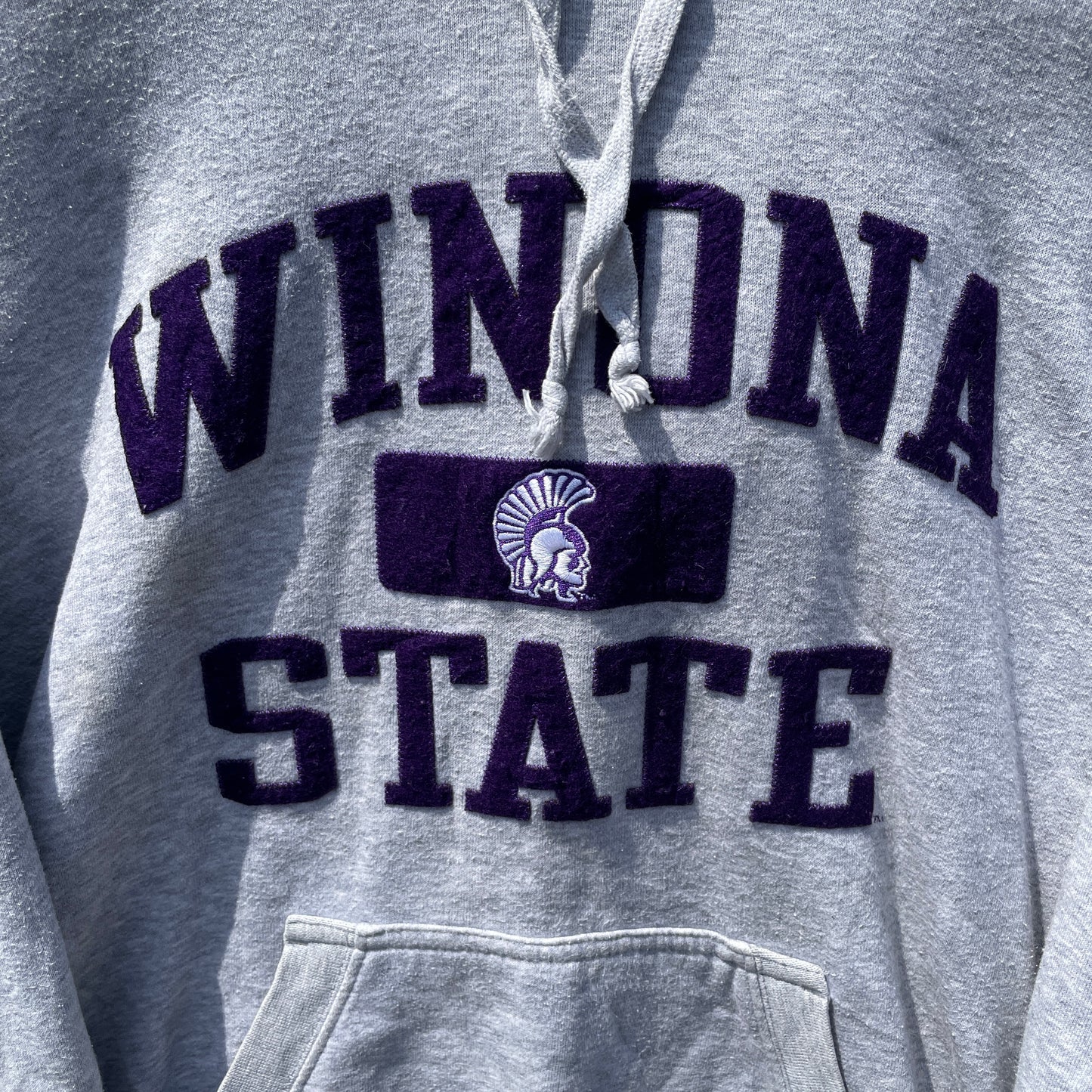 Grå Winona State College Hoodie Med Flocked Print