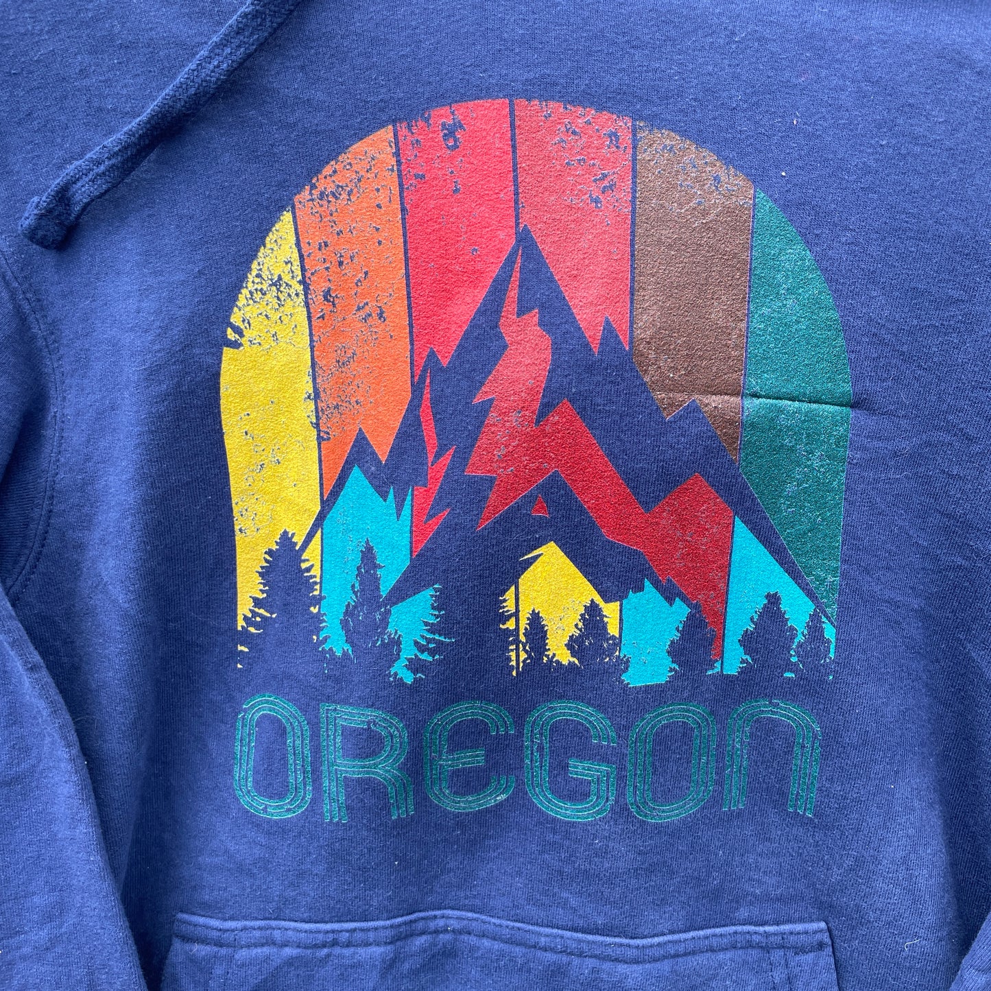 Blå Oregon Hoodie Med Farverigt Naturprint Og Retro Vibe