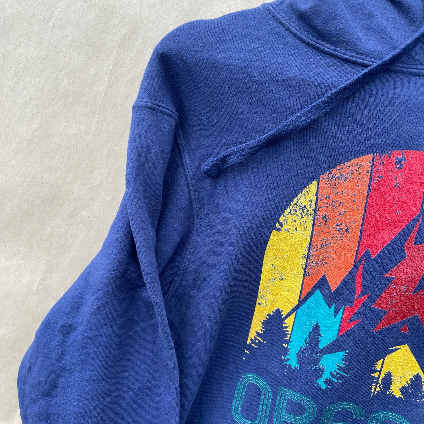 Blå Oregon Hoodie Med Farverigt Naturprint Og Retro Vibe