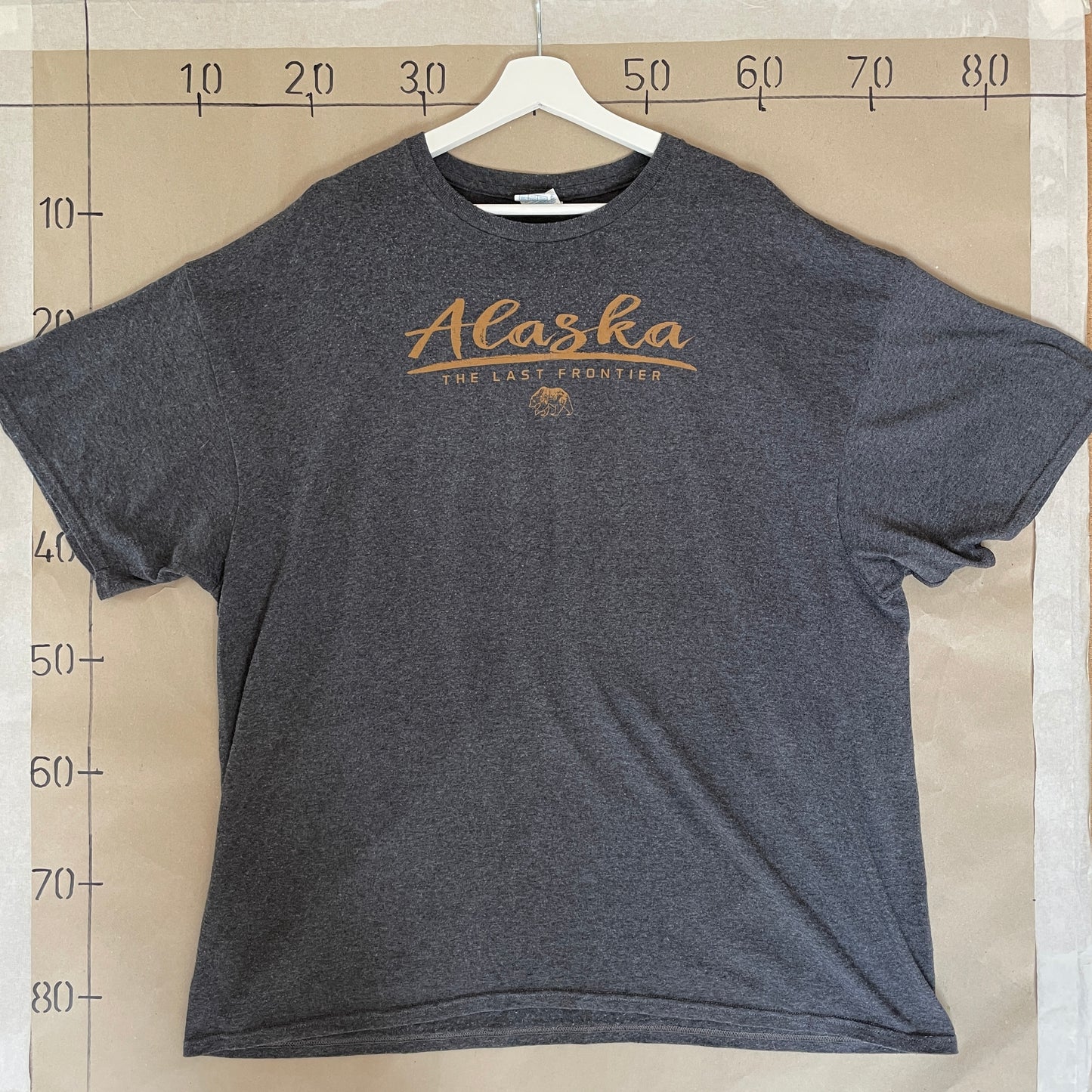 Grå Vintage Alaska T-Shirt