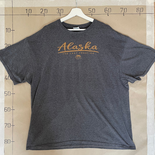 Grå Vintage Alaska T-Shirt