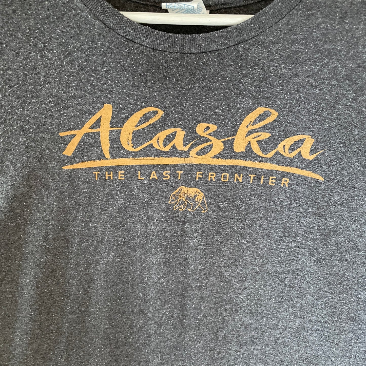 Grå Vintage Alaska T-Shirt