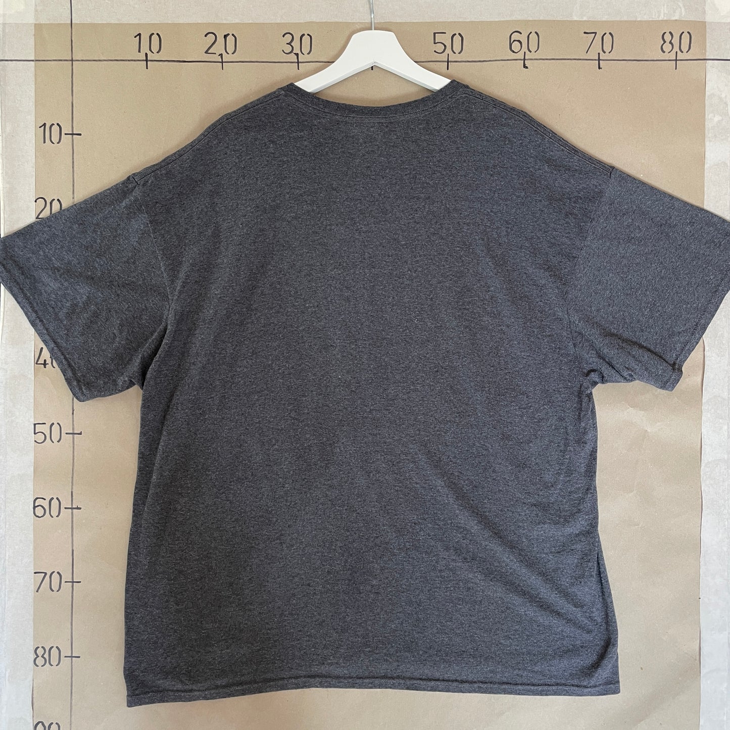 Grå Vintage Alaska T-Shirt