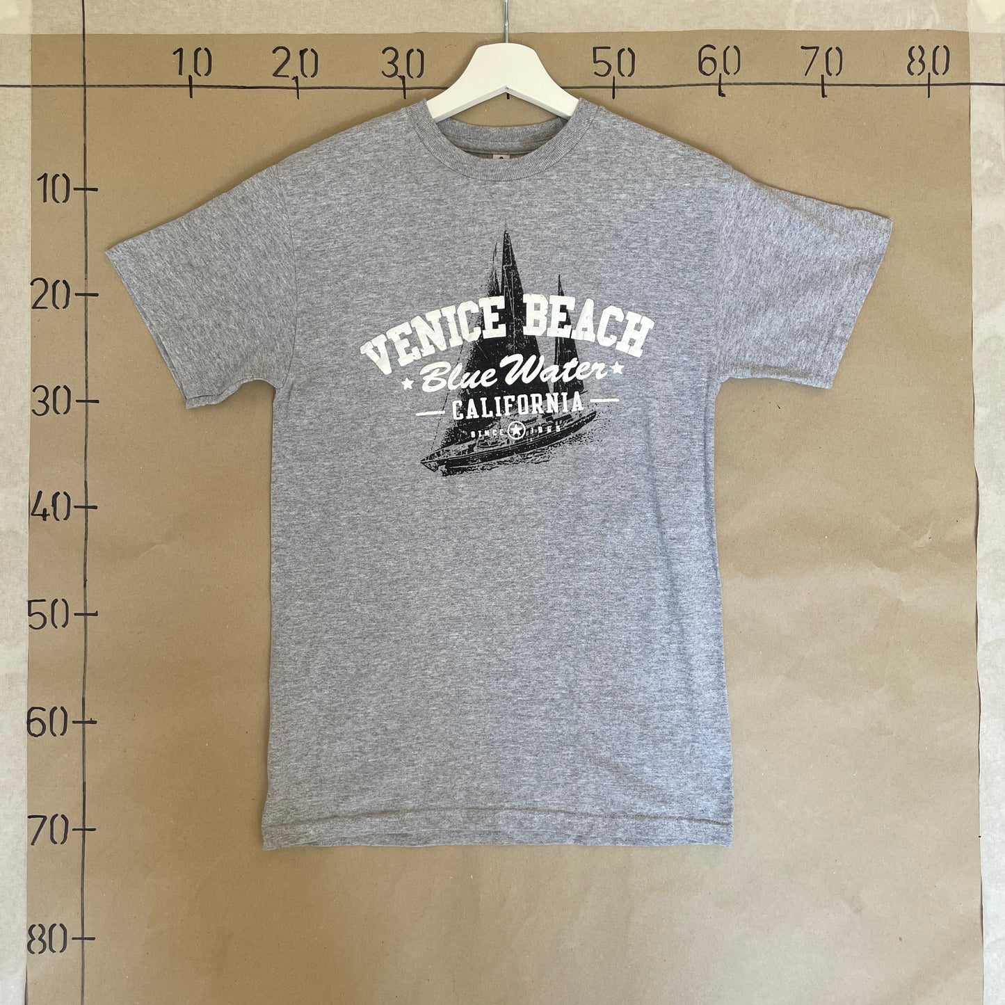Grå Vintage Venice Beach T-Shirt