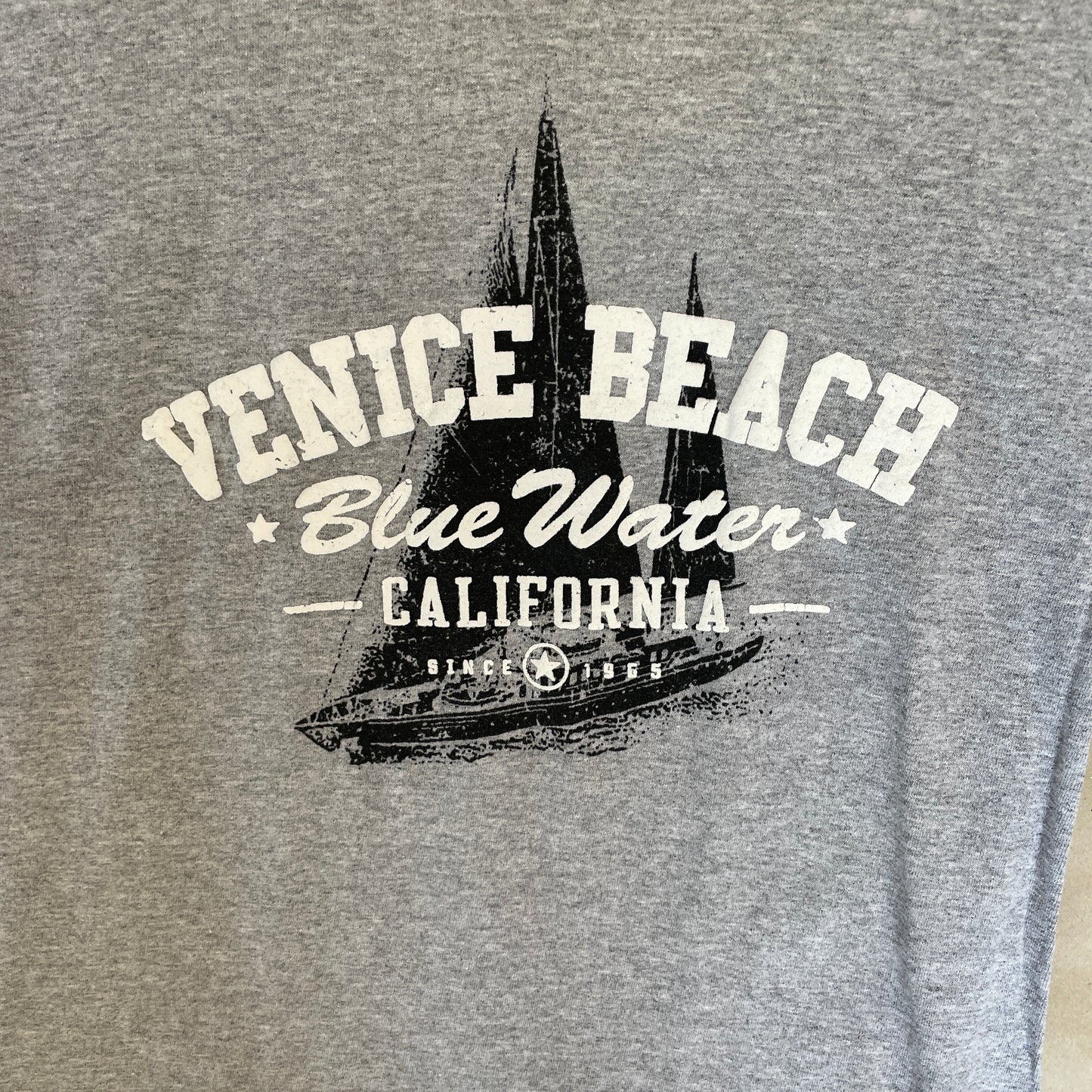 Grå Vintage Venice Beach T-Shirt