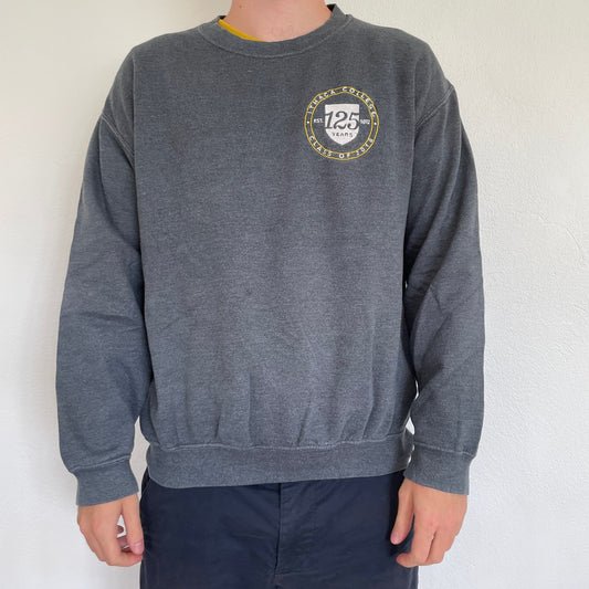 Grå Vintage Sweatshirt