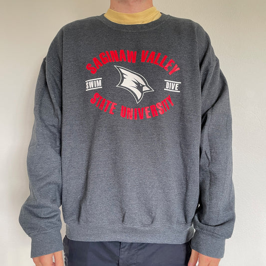 Grå Vintage "Saginaw Valley University" Sweatshirt
