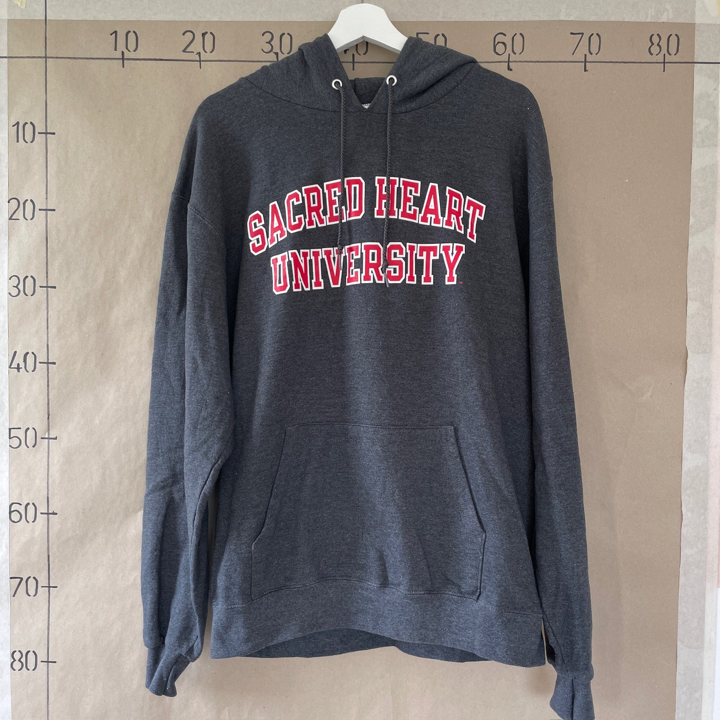 Grå Champion Hoodie