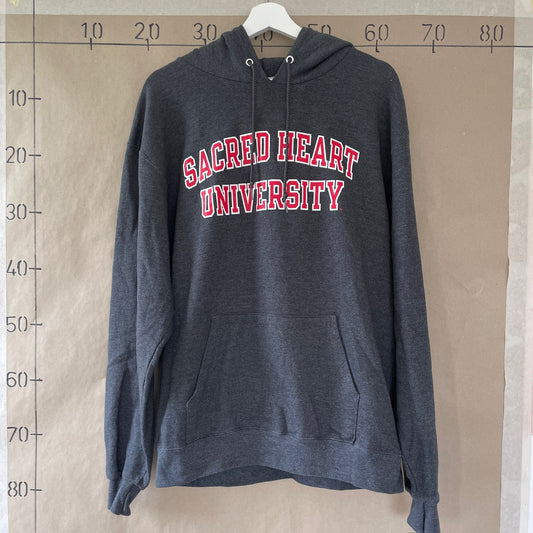 Grå Champion Hoodie