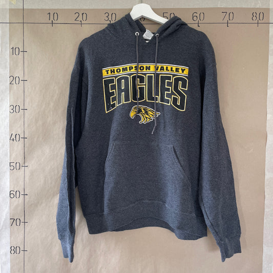 Grå Vintage "Eagles" Hoodie