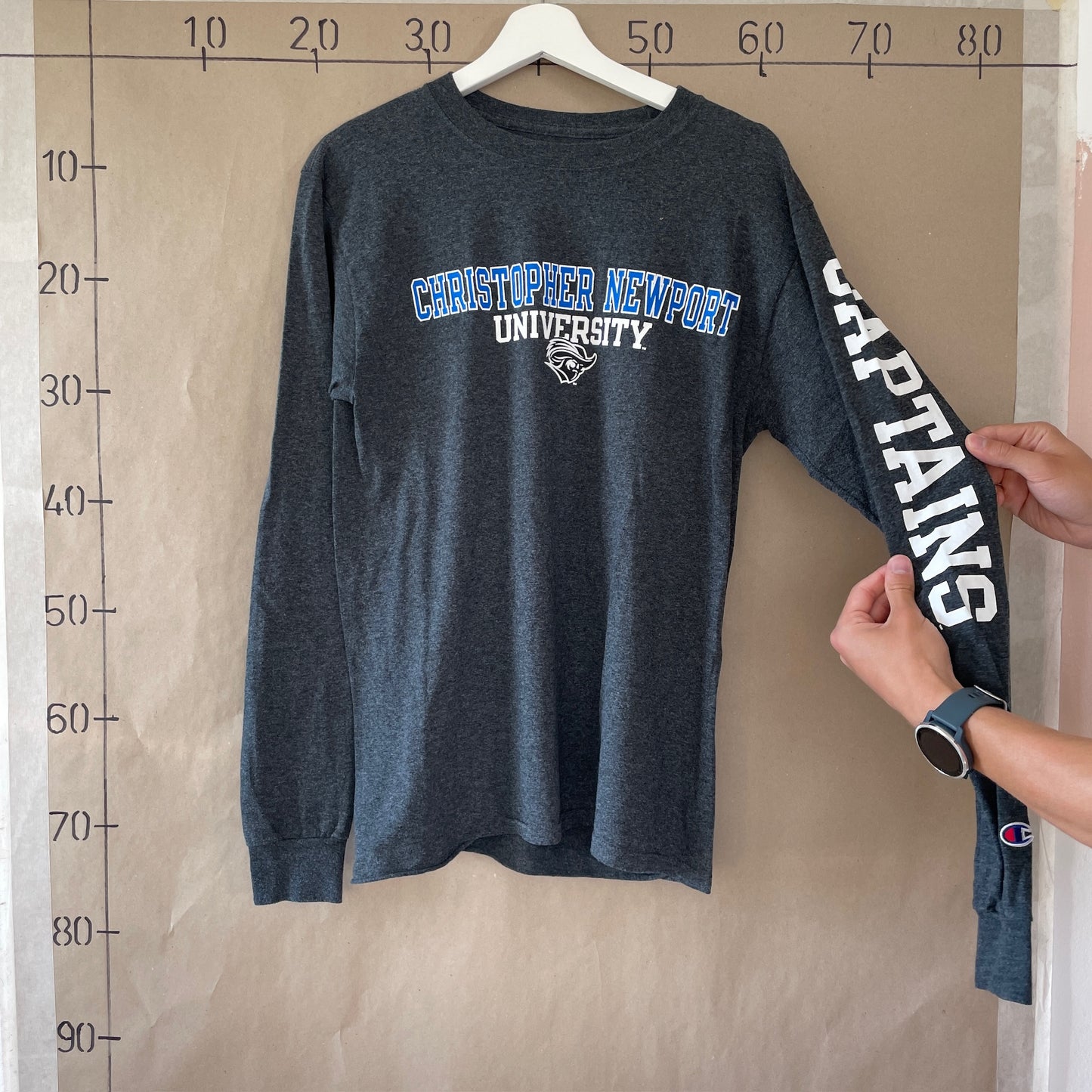 Grå Langærmet Champion T-Shirt