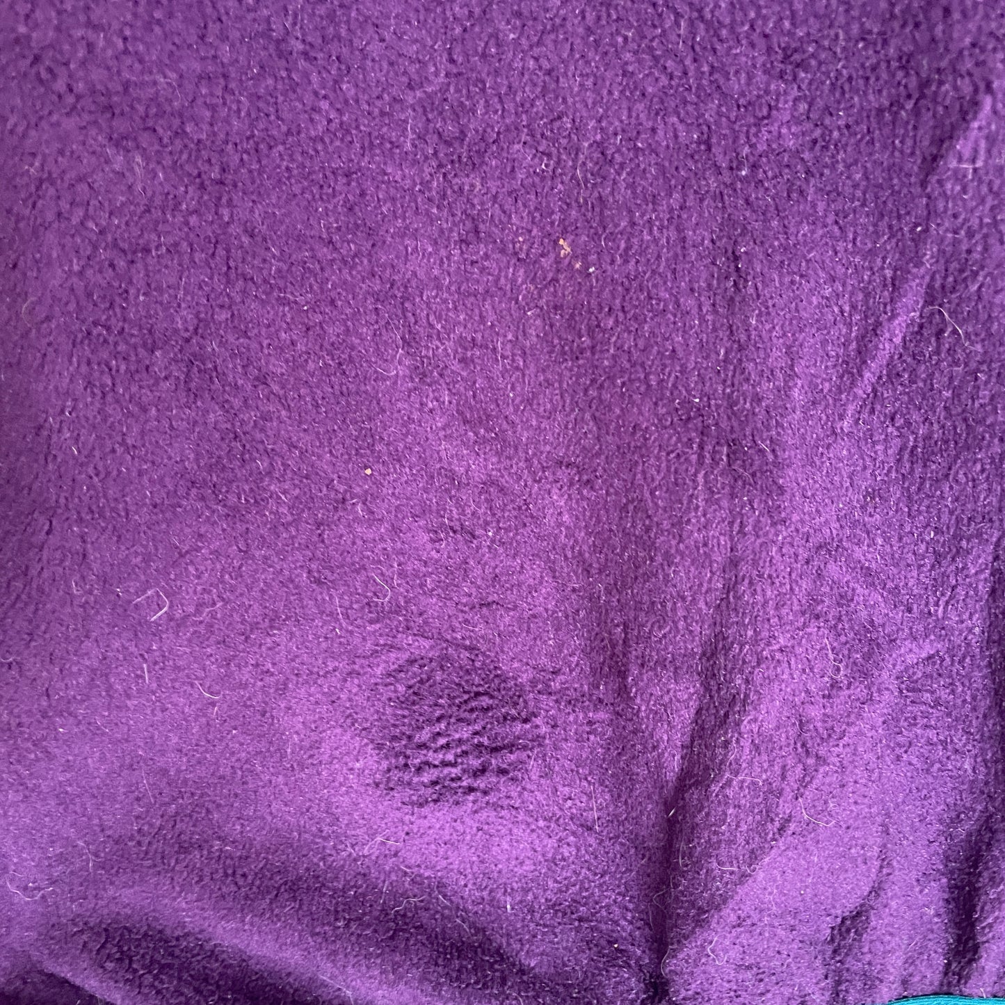 Lilla L.L.Bean Fleece Anorak Outdoor