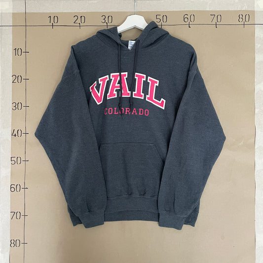 Grå Vintage Vail Colorado College Hoodie