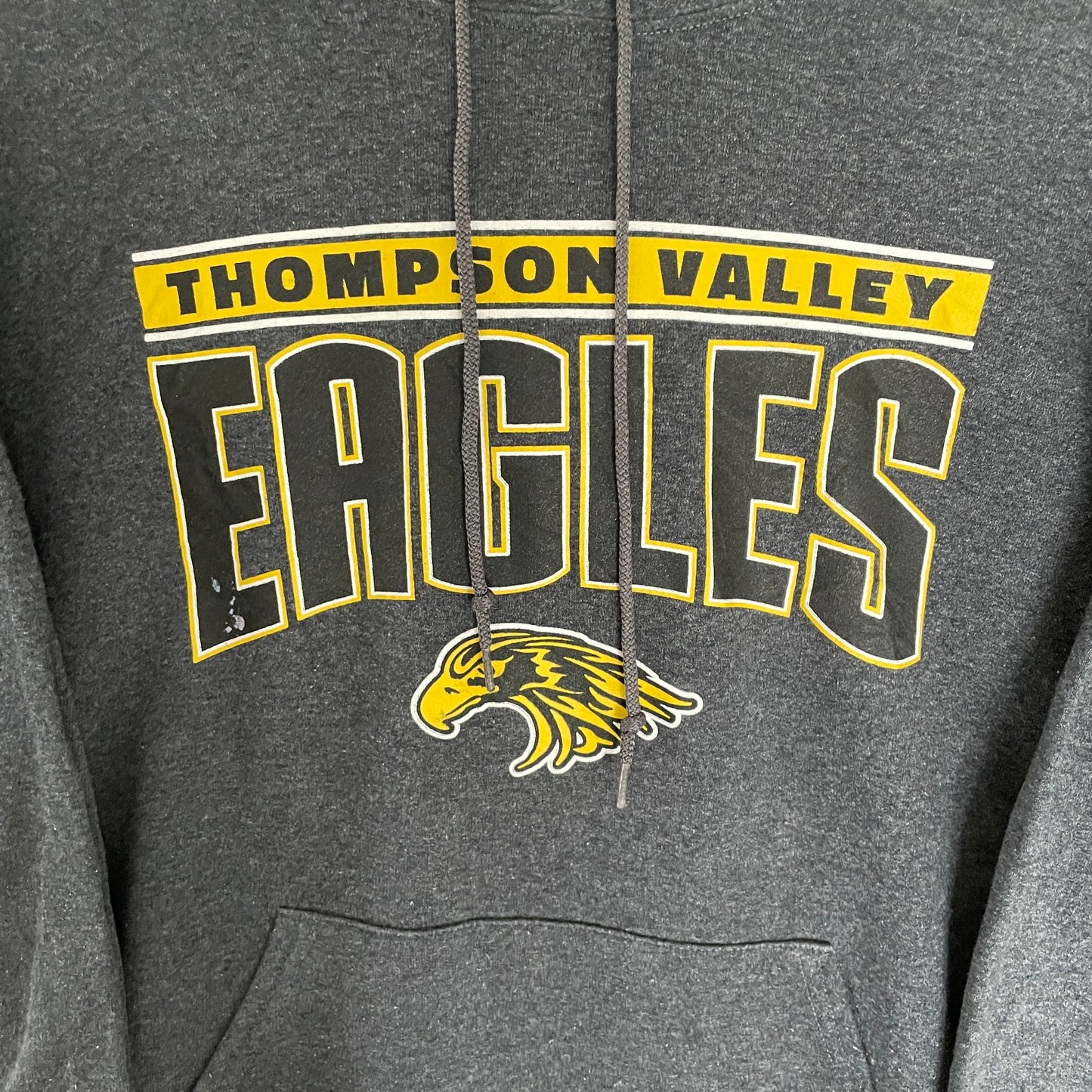 Grå Vintage Thompson Valley Eagles Hoodie College Print