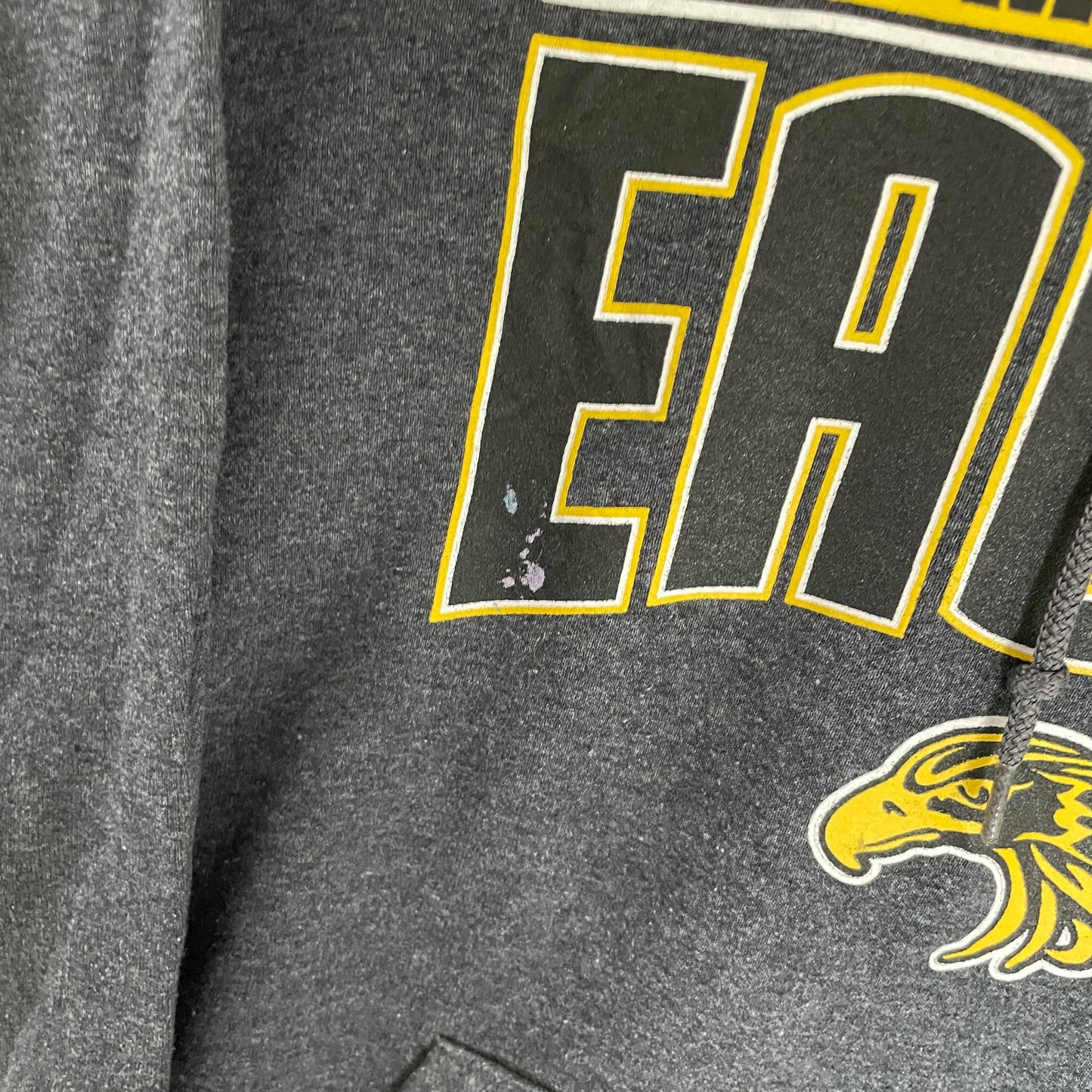 Grå Vintage Thompson Valley Eagles Hoodie College Print