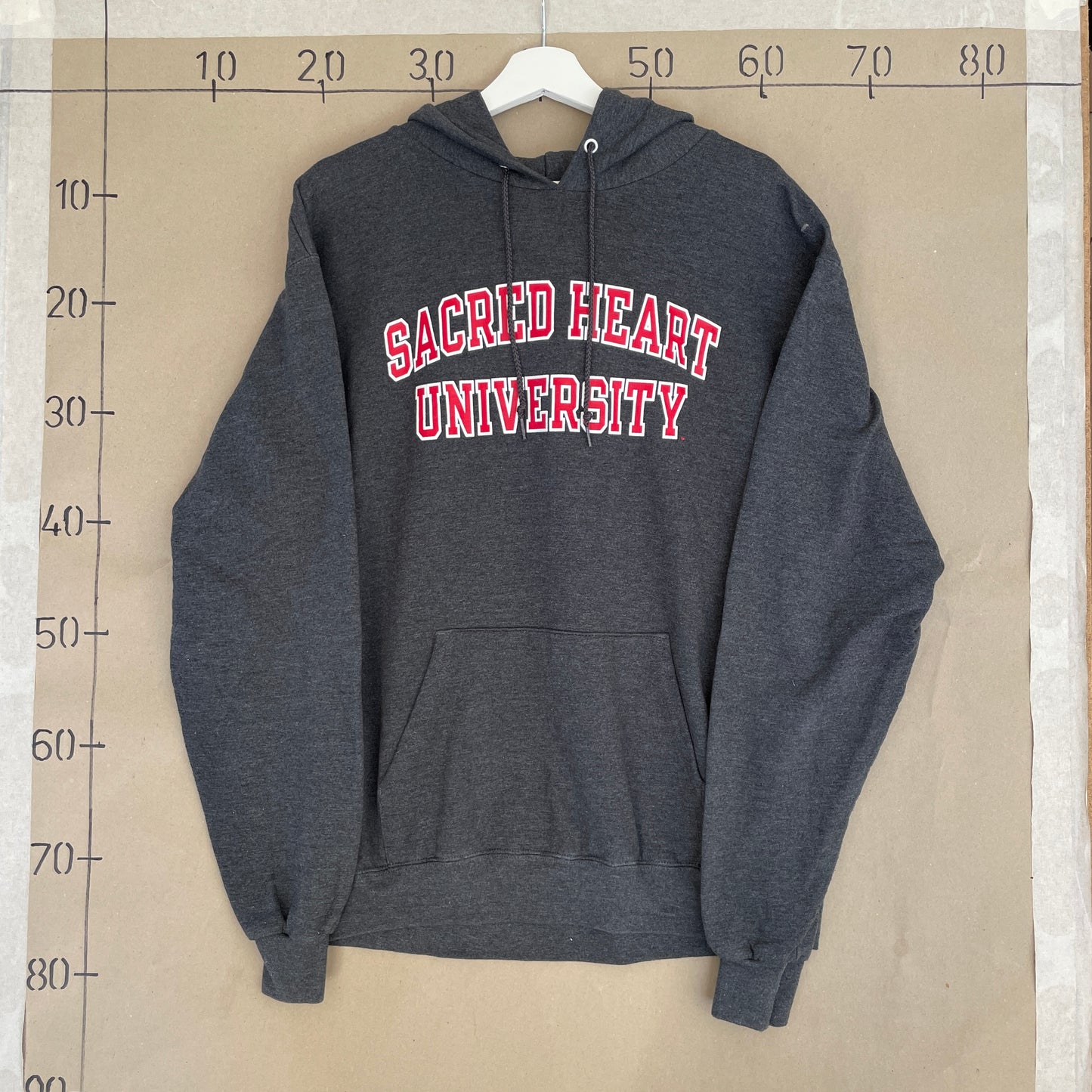 Grå Vintage Champion Hoodie Sacred Heart University