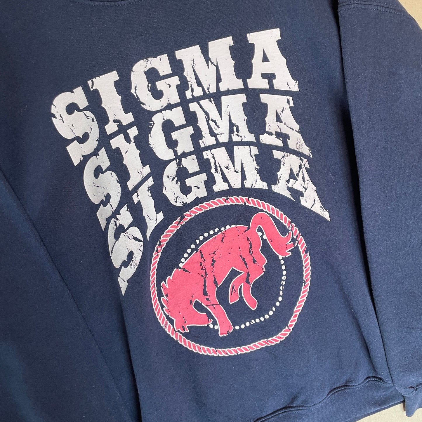 Blå Vintage Hesteridning Sigma Sweatshirt
