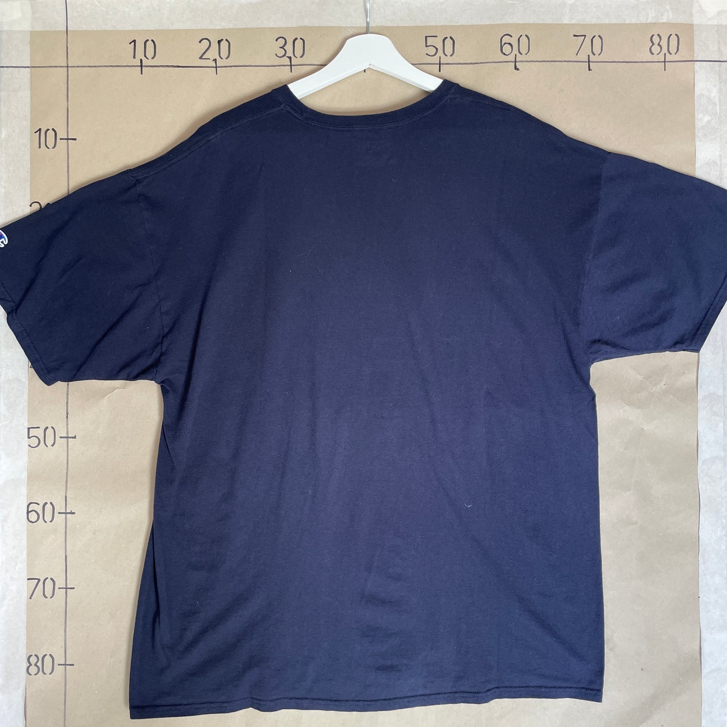 Blå Vintage Grafisk Printet Løve T-Shirt