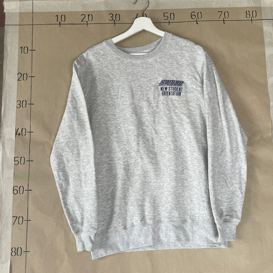 Grå Vintage New Student Orientation Sweatshirt Fra Gildan