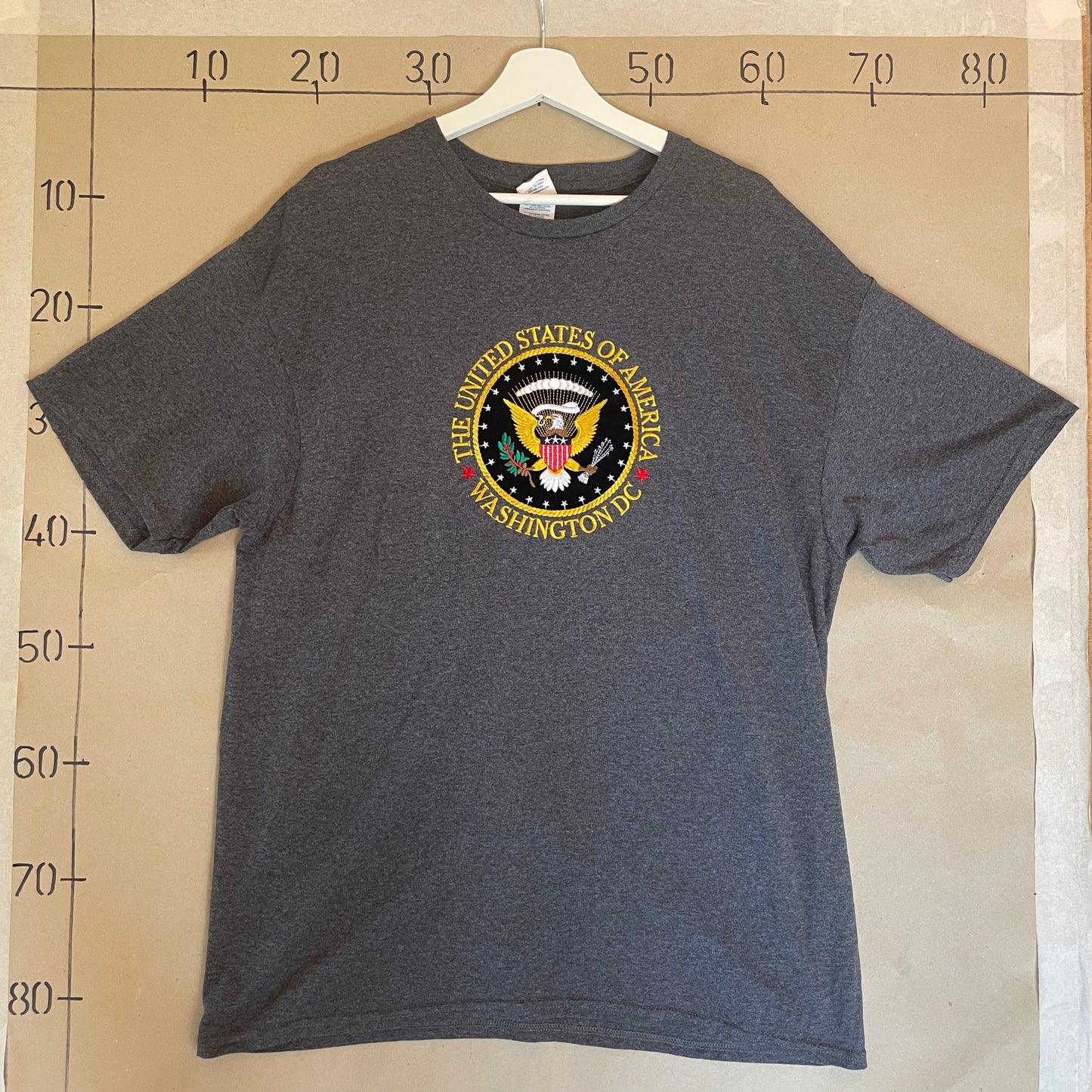 Grå Vintage Washington D.C T-Shirt