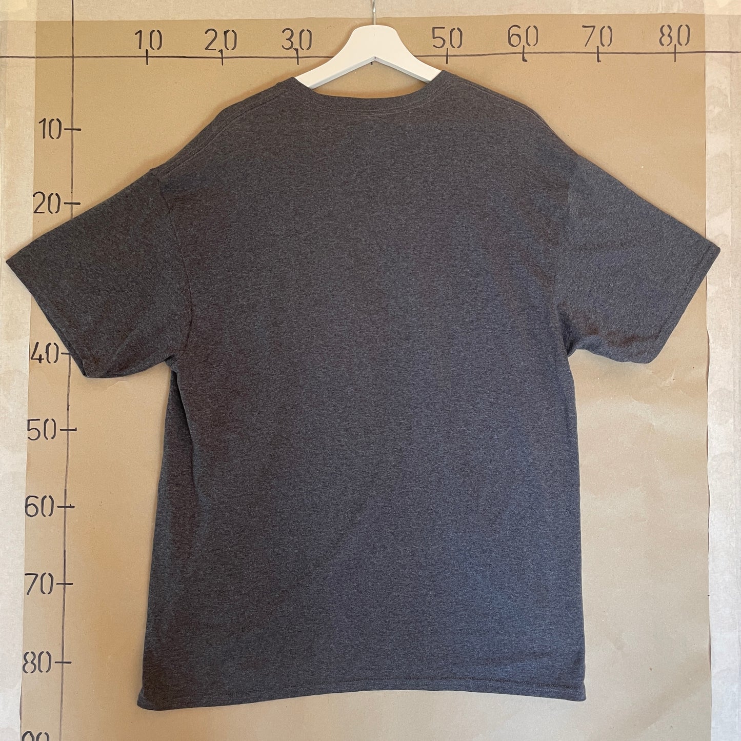 Grå Vintage Washington D.C T-Shirt
