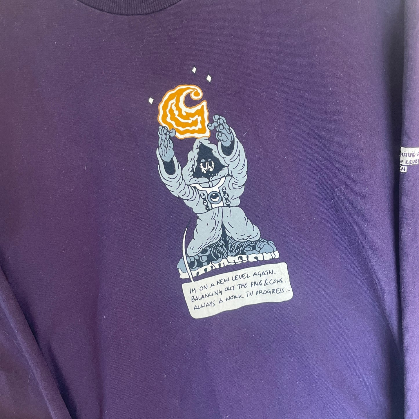 Lilla Langærmet Carhartt Bluse