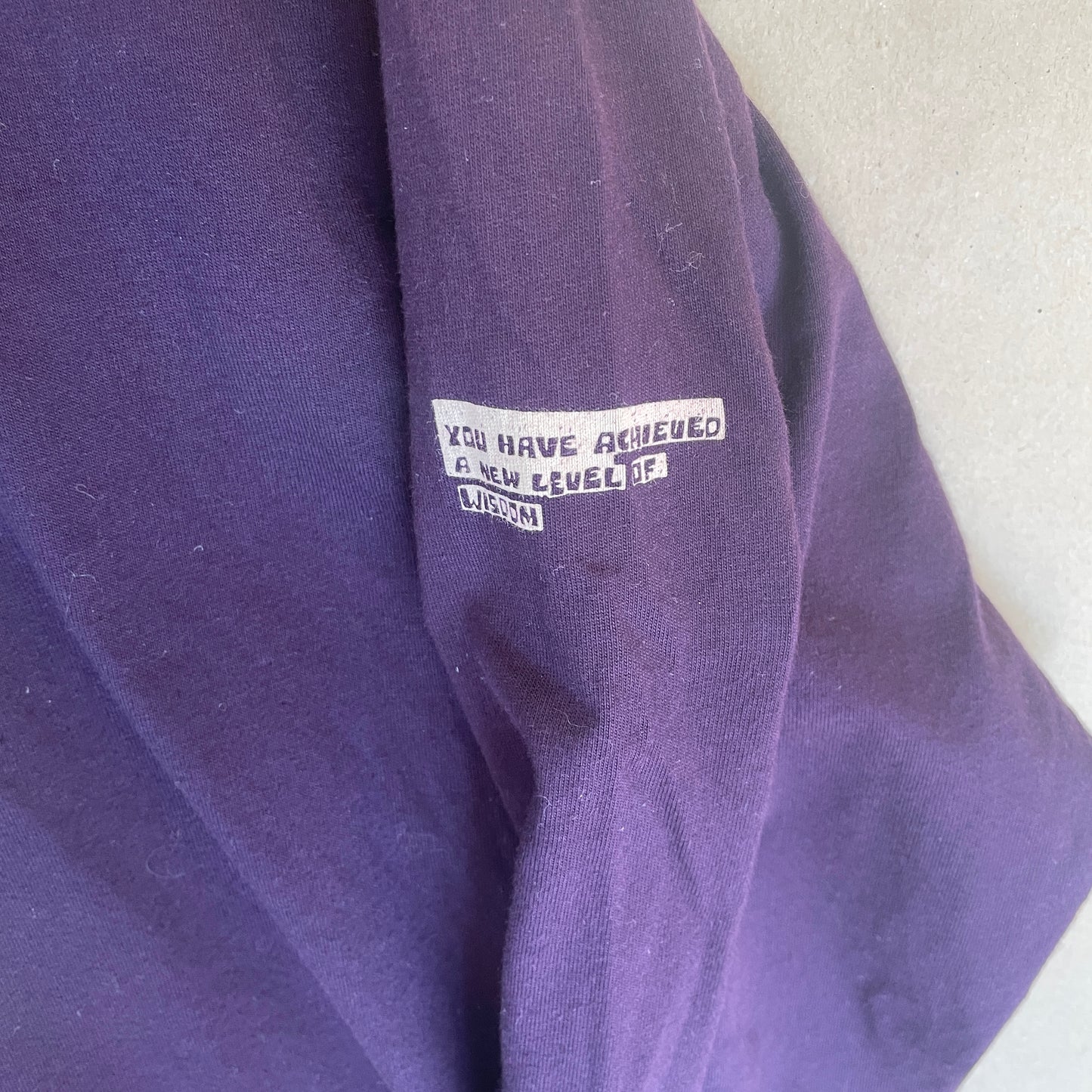 Lilla Langærmet Carhartt Bluse