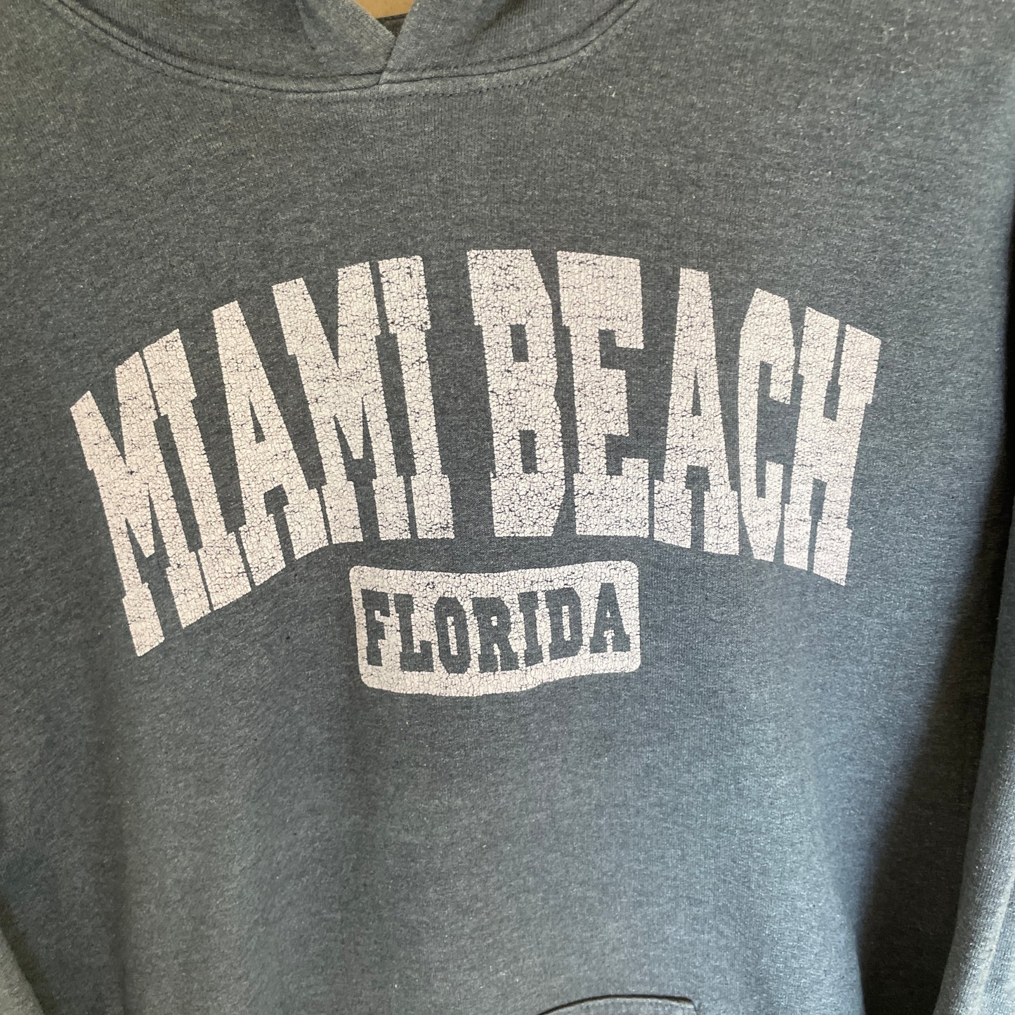 Blå Vintage Miami Beach Flordia Hoodie