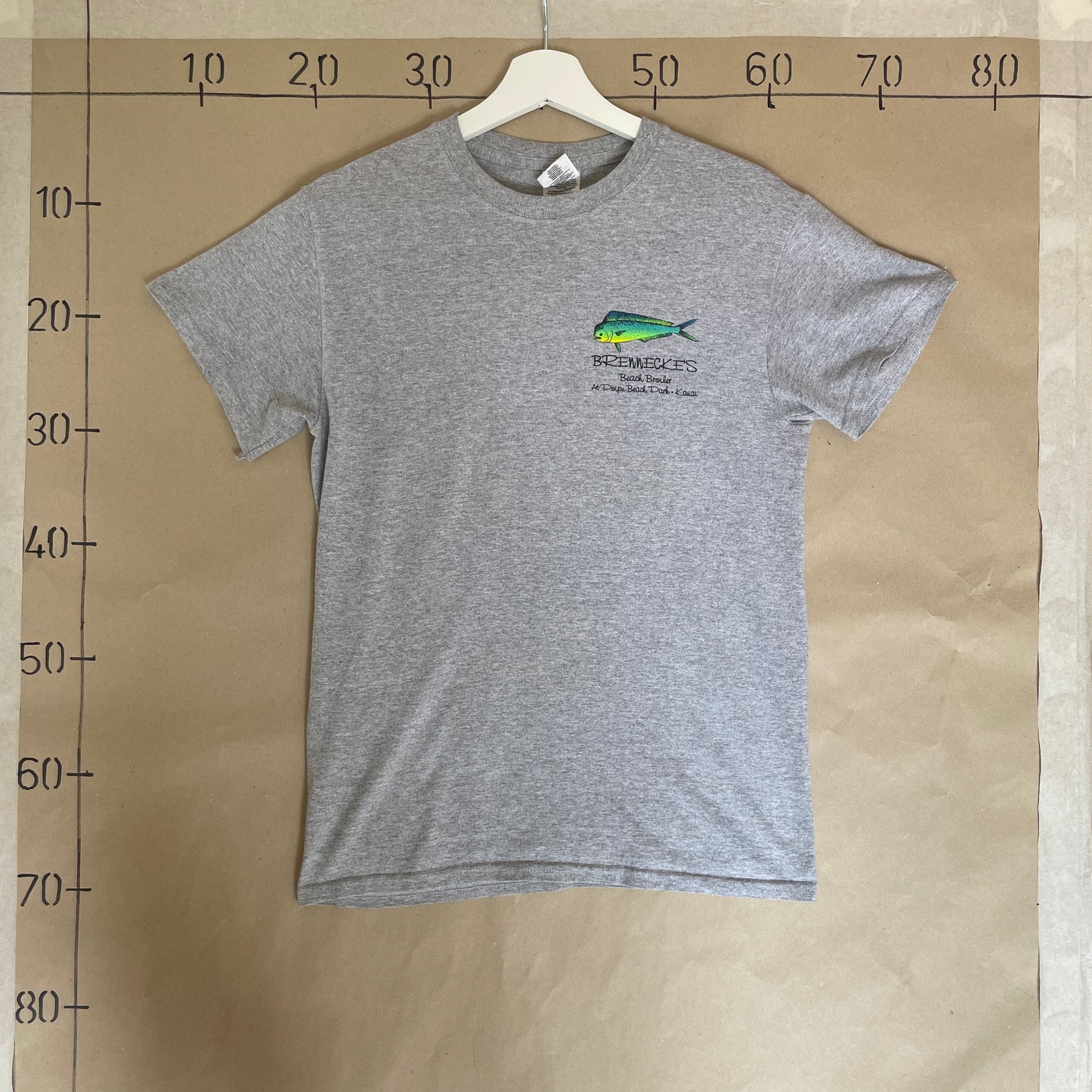 Grå Vintage Fiske T-Shirt