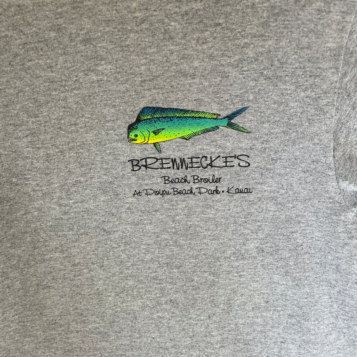 Grå Vintage Fiske T-Shirt