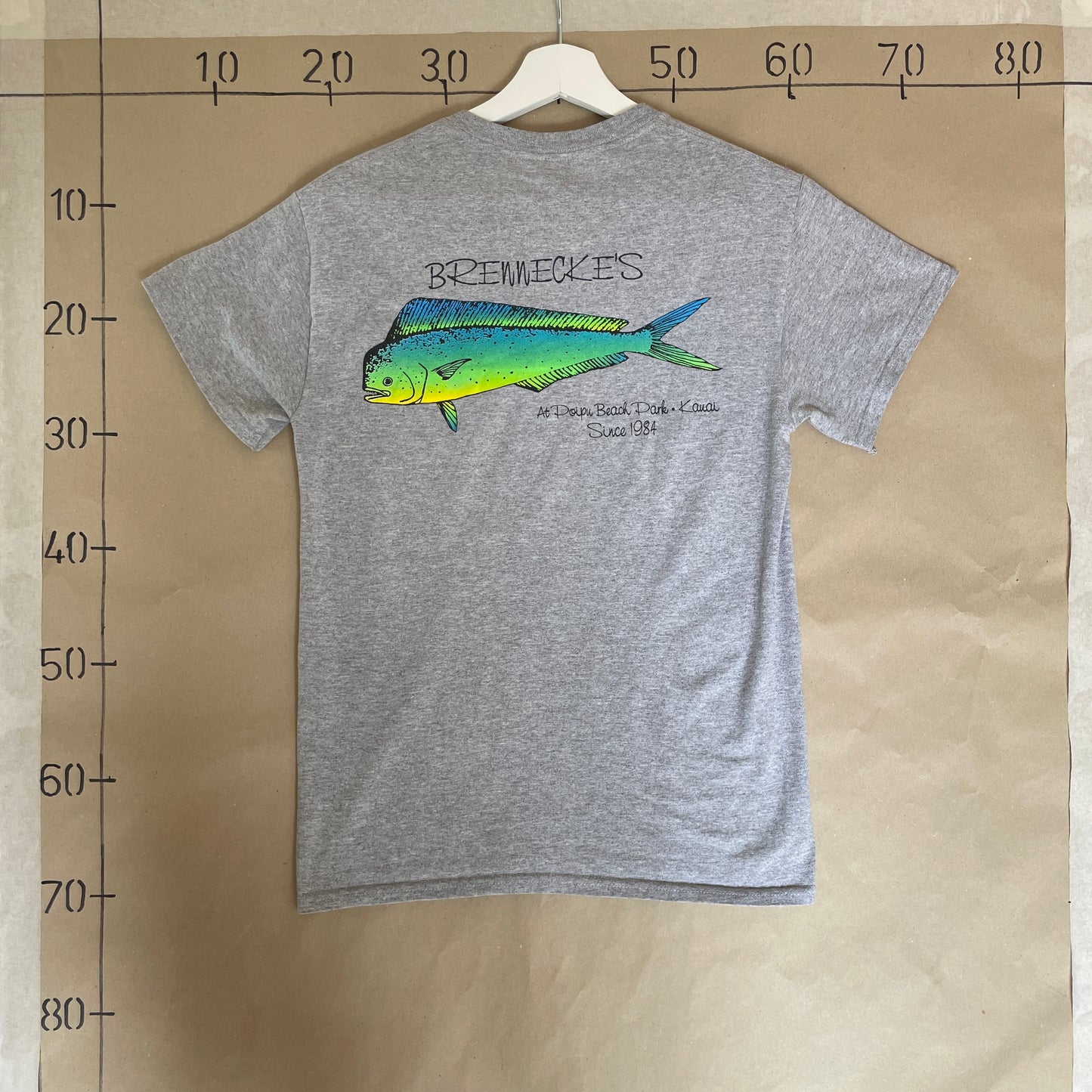 Grå Vintage Fiske T-Shirt
